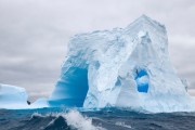 世界接力游泳赛战术新变化 选手顺序搭配成焦点，游泳接力比赛破纪录
